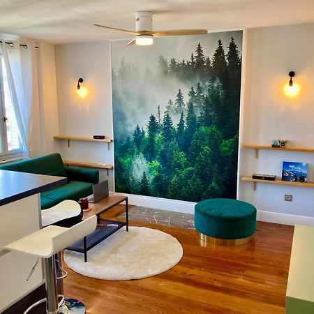 Le Nivolet, Cosy Appartement Chambéry Esterno foto